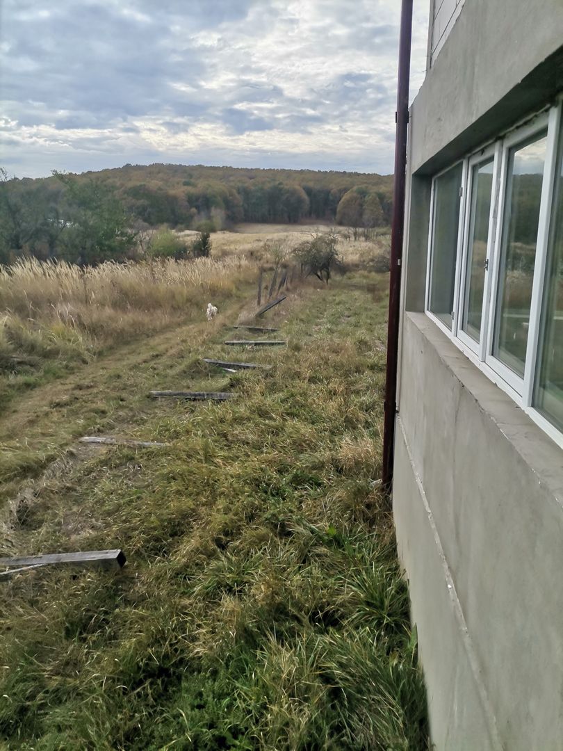 Vanzare vila Hintesti, stradal - Poză 6