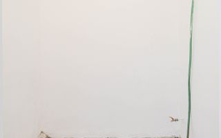 Casă înșiruită în prima parte a Florestiului, zona Stadion - Someșului - Poză 31