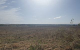 Vanzare teren arabil 22 Ha, plan, Arges, Moraresti - Poză 2