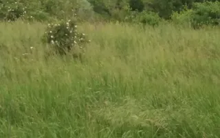 Teren Buftea cu iesire la lac - Poză 13