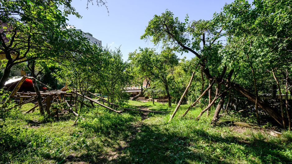 Casa 200MP cu teren de 2.050MP - Grigorescu - Str.Donath 20 - Poză 4