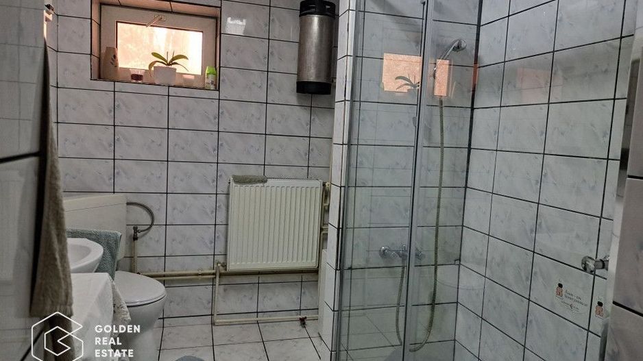 Casa mare cu 2 spatii comerciale, in Faget - Poză 5