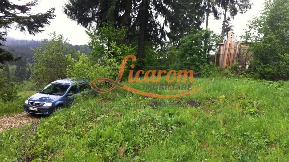 Teren intravilan Cotul Donului,pretabil Hotel/pensiune. - Poză 5