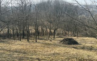 Teren intravilan 2788 mp deschidere 55 ml cu vedere panoramica ! - Poză 4