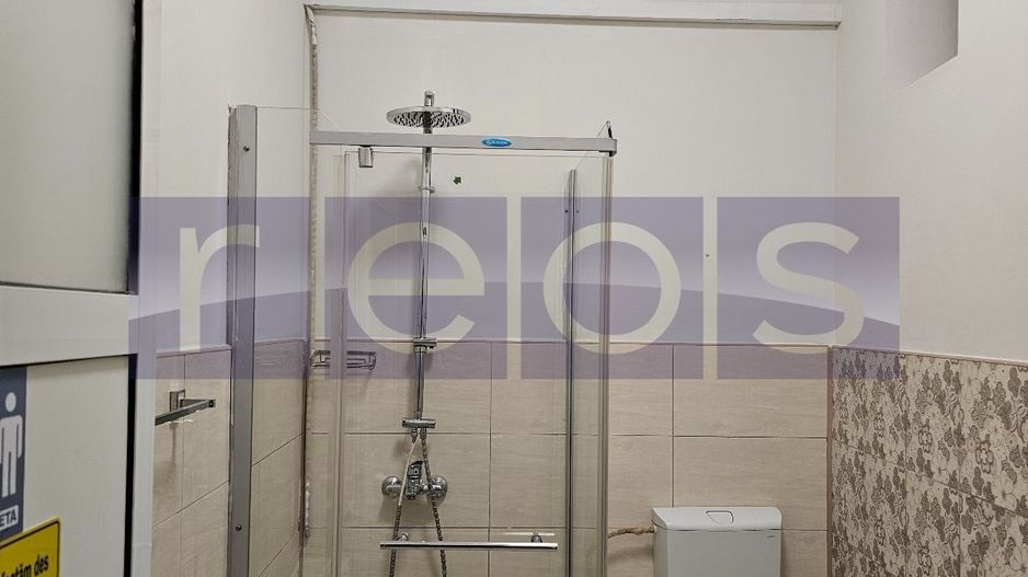 INCHIRIERE VILA 4 CAMERE | ZONA TINERETULUI - Poză 7