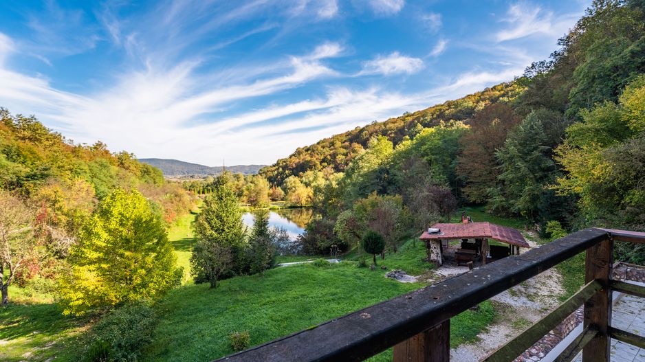 Domeniu în satul Căprioara - Poză 20