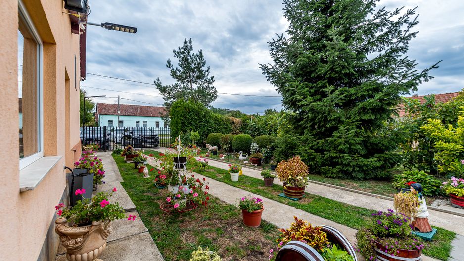 🏡 Mai mult decât o casă: libertatea de a trăi aproape de natură - Poză 5