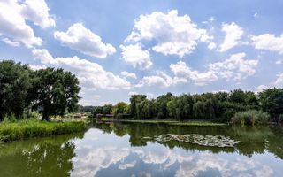 Oportunitate Rară – Vilă pe Malul Lacului Snagov | Piscina | Ponton | COMISION 0 - Poză 7