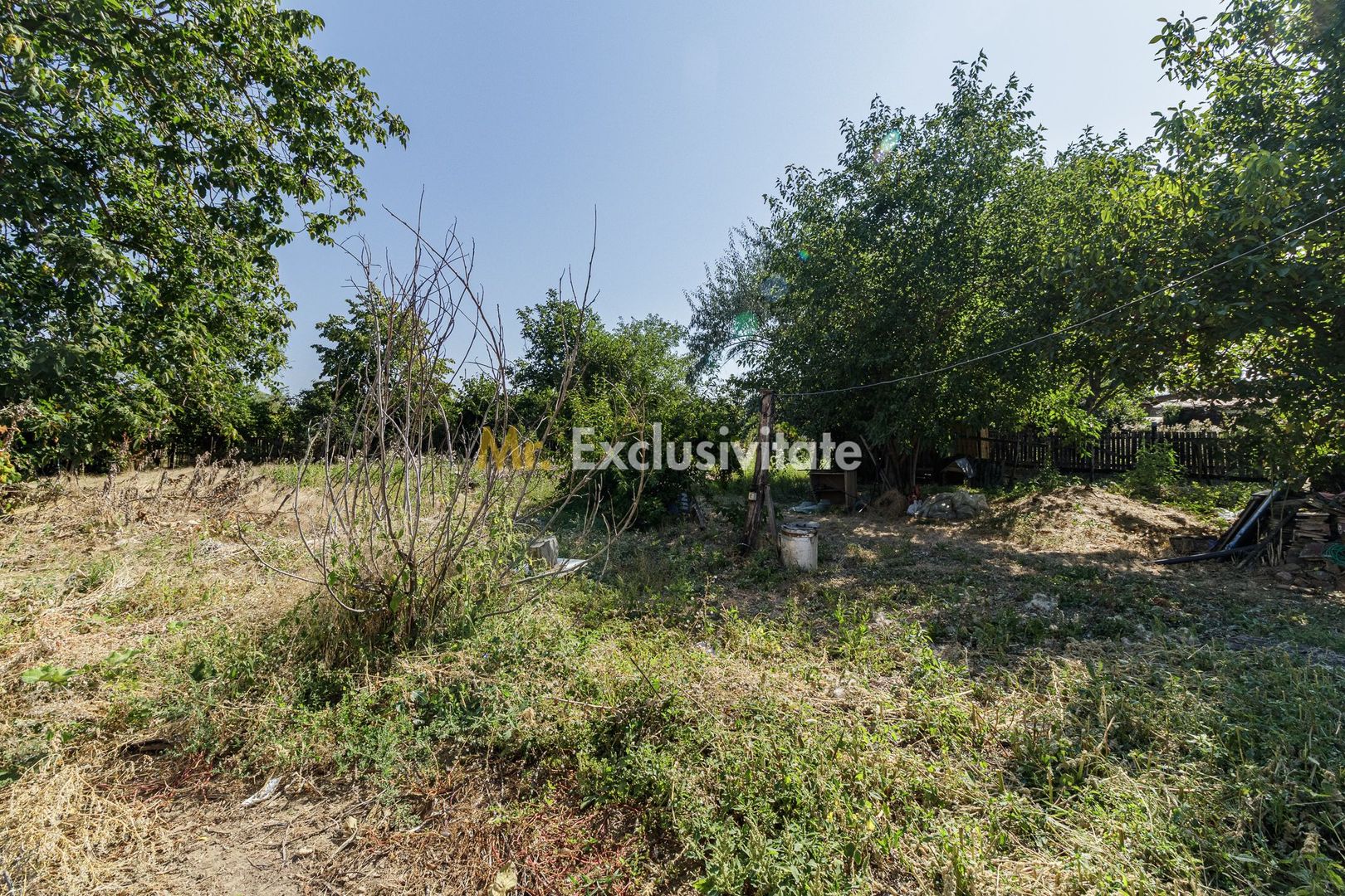 teren 3889 mp Domnesti Primarie - Poză 7