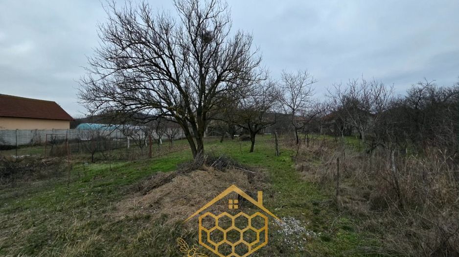 Casa P+Beci + 1.451 mp Teren ( Toate utilitatile)  – Langă Profi/Pepco - Poză 10