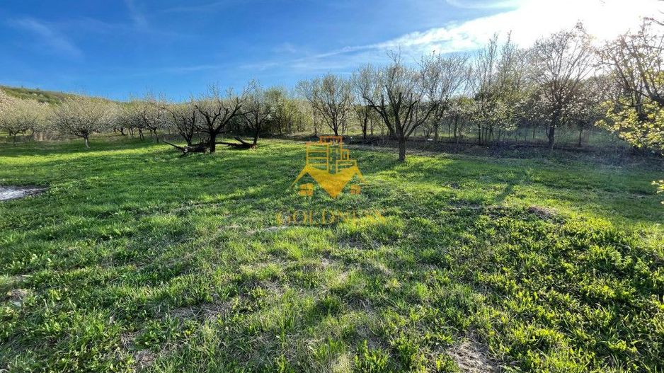 Tren Soporului Intravilan ,5500 MP Utilitati,  Oportunitate - Poză 2