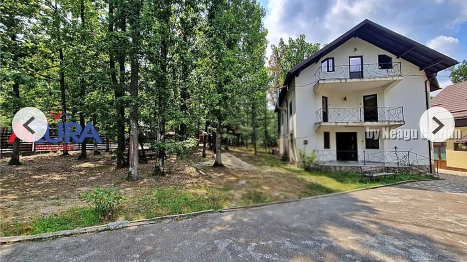 Casă de vacanță în pădure, 10 km de Pitești - Babana - Poză 1