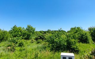 Lot pentru două case – Corbeanca Tamași - Poză 12