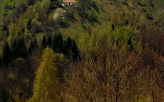 teren intravilan in zona Magura Bran - Poză 16