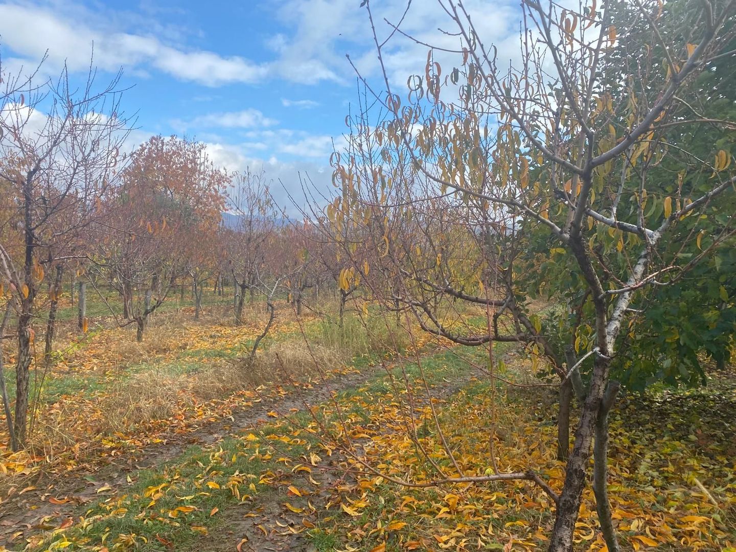 Vanzare casă spațioasă cu teren generos în Cândești Vale–jud Dambovita - Poză 21