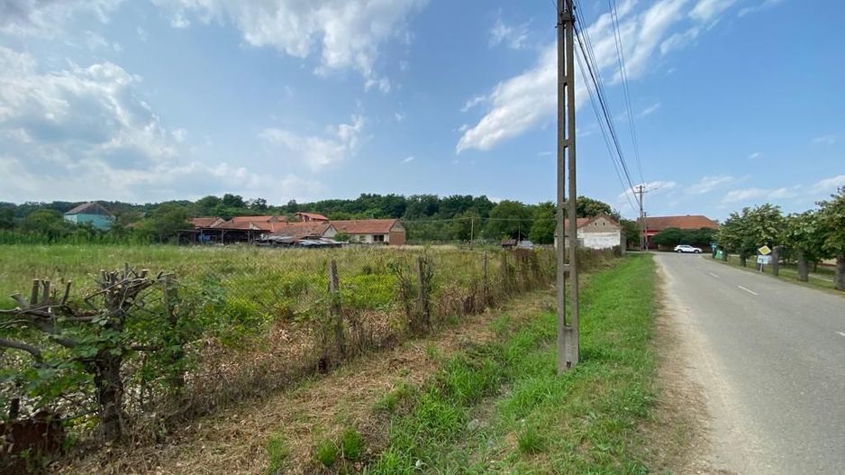 Teren Zgribesti numai 5 euro/mp - Poză 2