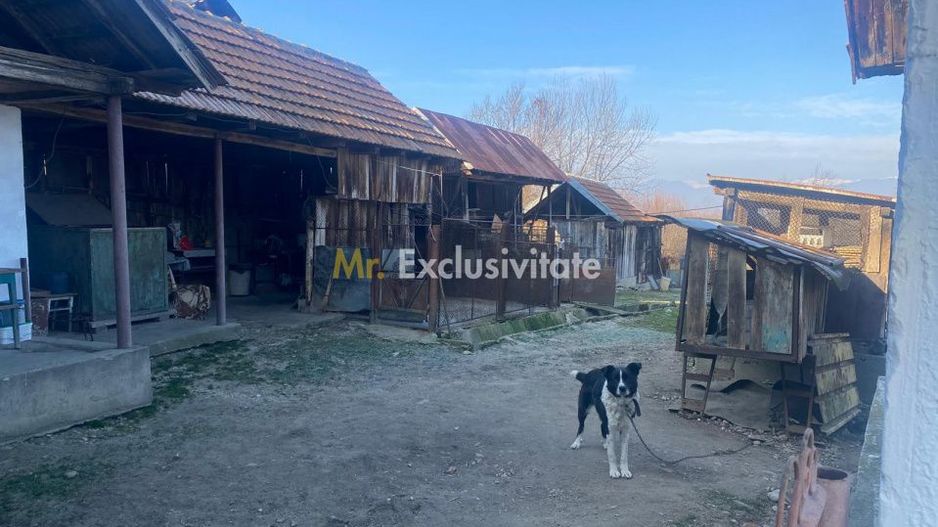 Proprietate cu potențial turistic și agricol | 7.661 mp|Șomanești-GORJ - Poză 8