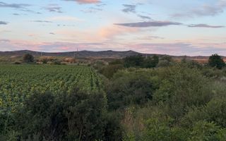 Teren – 7.194 mp | Răscruci – Zona Tetarom - Poză 5