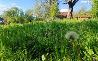 Descoperă căsuța ta de vis la poalele Munților Apuseni - Poză 17