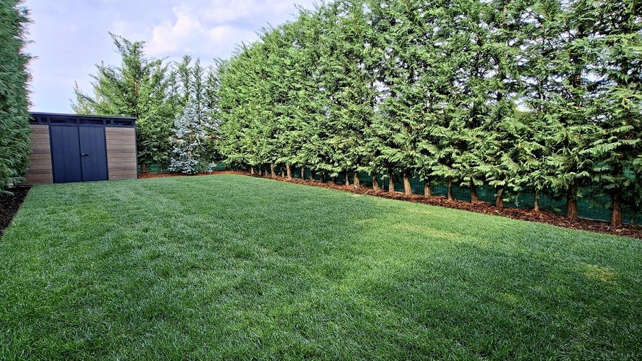 Duplex cu 4 camere - zona parcului Terra - Poză 28