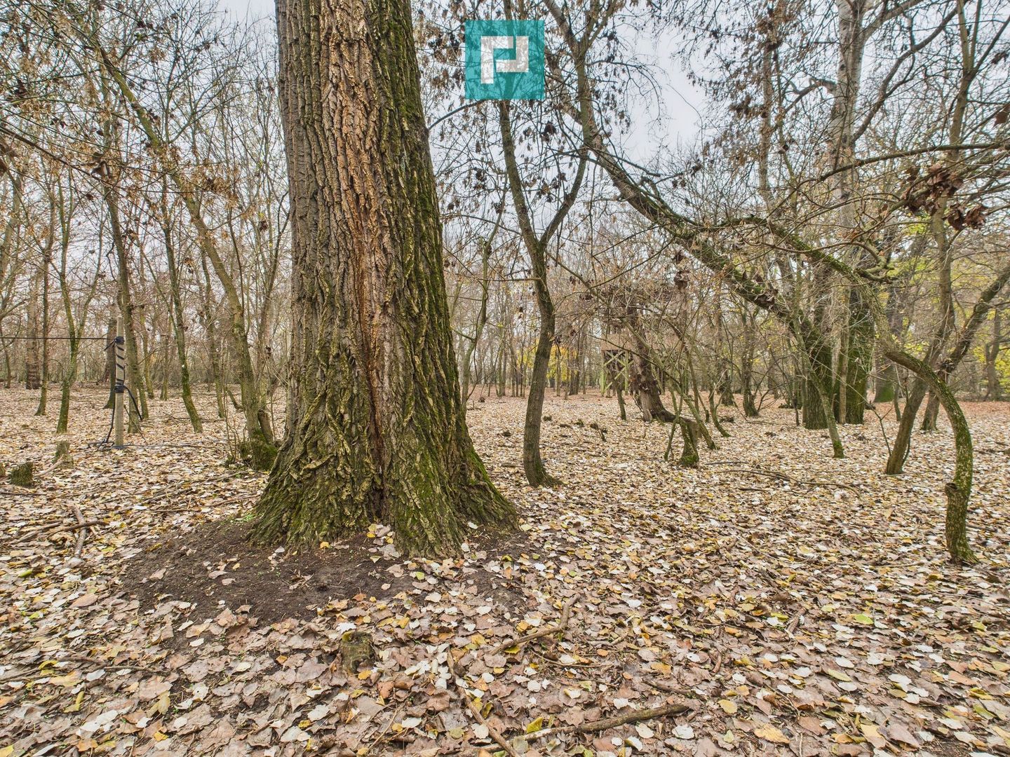 Teren pe malul Muresului- oportunitati multiple - Poză 29