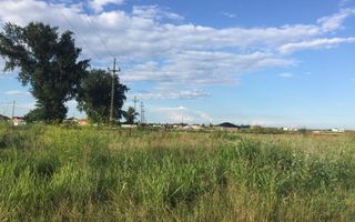 Teren intravilan in comuna Domnesti - sat Teghes - Poză 5