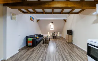 Apartament 2 camere elegant – Piata Unirii Timisoara - Comision 0 - Poză 11