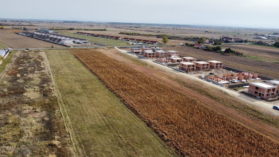 Teren PUZ rezidential-Bucovat (Remetea Mare) - Poză 3