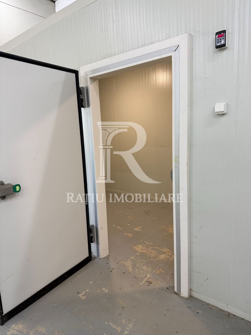 Complex agroindustrial de închiriat | Sere 3.300 mp - Poză 4