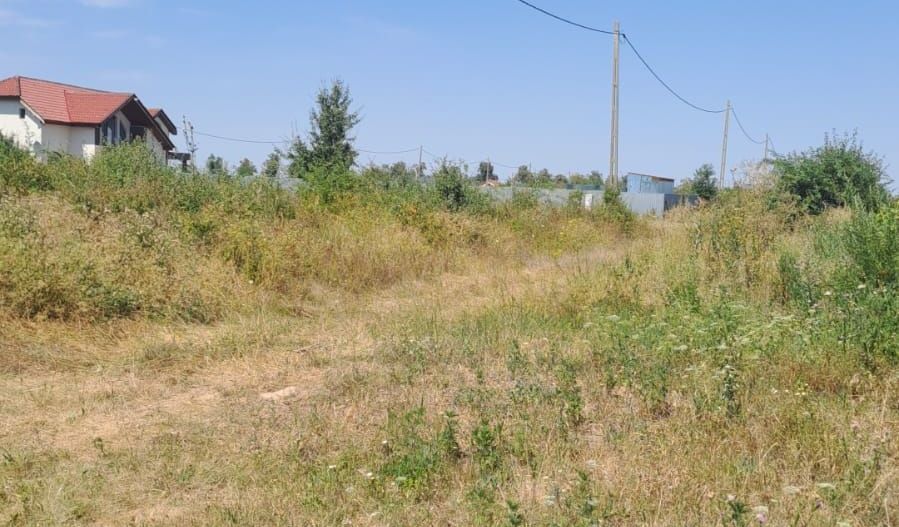 TEREN INTRAVILAN 530 MP -GEPIU - Poză 2