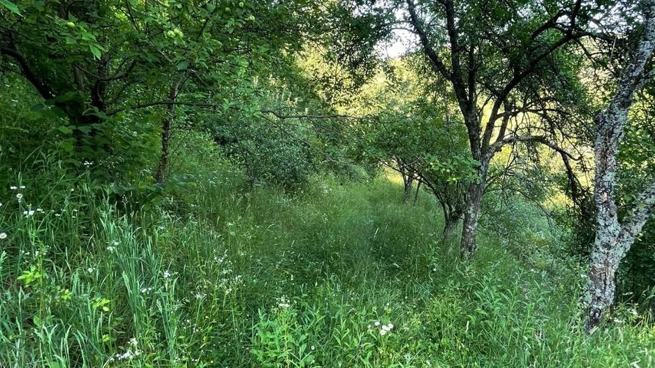 Teren zona turistica Rosia - Poză 7