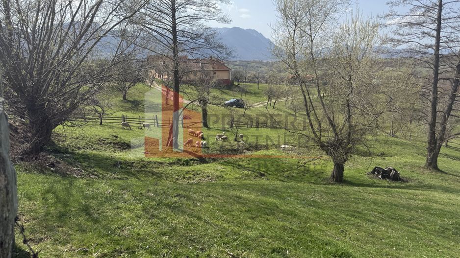 Teren de vânzare în Sohodol, comuna Bran – 4.289 mp - Poză 5