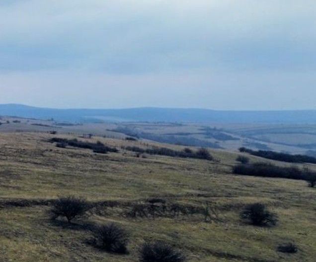 Teren extravilan Dealul Daii Sibiu - 67500 mp - Poză 2