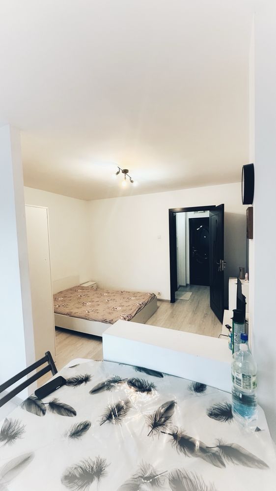 Garsoniera de inchiriat zona Lapus Arges - Poză 3