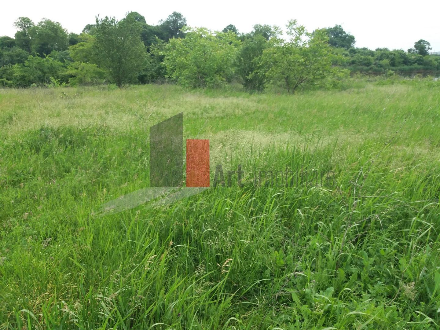 Teren Buftea cu iesire la lac - Poză 17