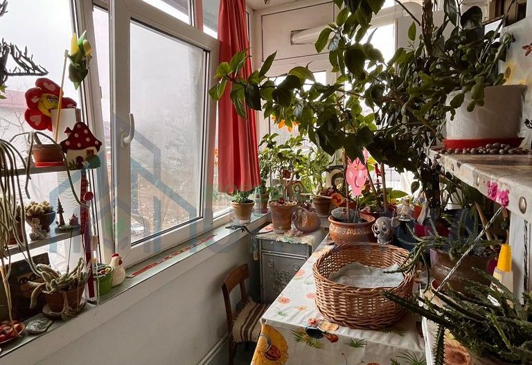 Ap. 3 cam. decomandat - # - Str. Petre Țuțea, Nicolina 1 - Poză 6