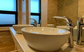 Vila Individuala | Iancu Nicolae | Piscina | Garaj - Poză 9