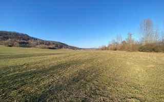 Teren de 7.500 mp de vânzare în Bradu, Avrig-COMISION 0% – lângă râul Olt. - Poză 6