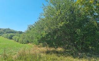 EXCLUSIVITATE! Teren la șoseaua principală | Tocile - Poză 7