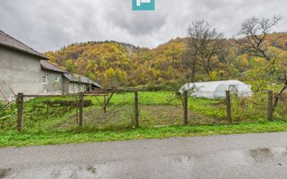 Casă renovată în localitatea Lazuri, Arad - Poză 17