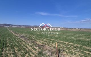 NECTORA IMOB-Teren Intravilan 537 mp, Zona Solay, 250 m de asfalt - Poză 2