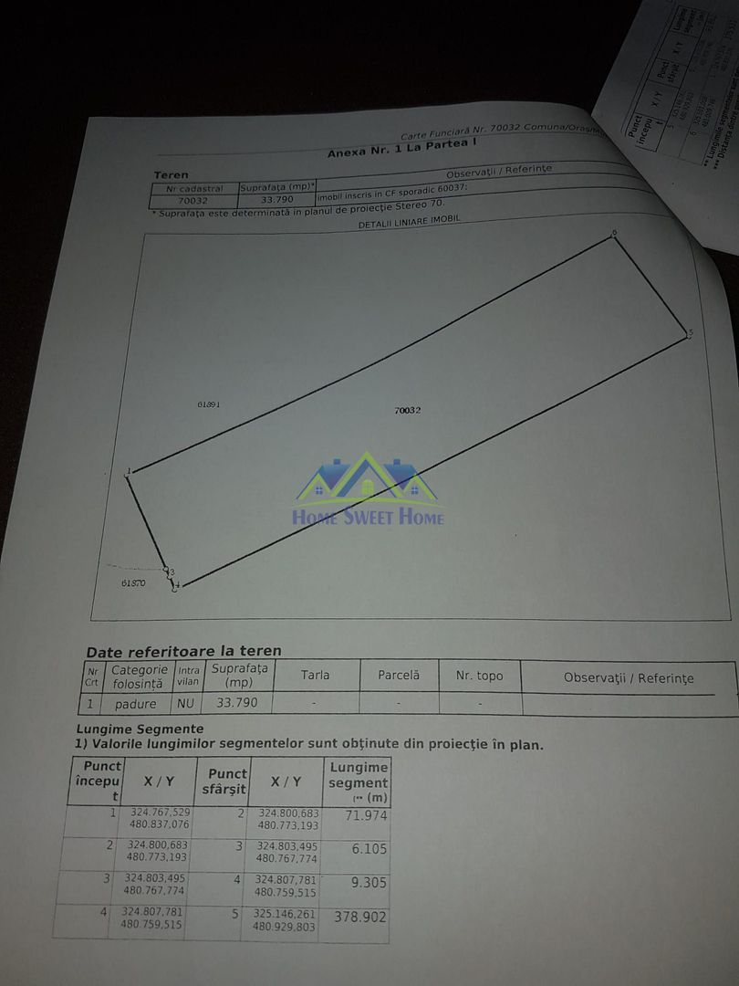 Vand padure zona Cerbal - Arănieș, 3,4 hectare, in 2028 de exploatat! - Poză 1