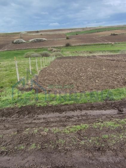 Teren de vânzare în Proselnici, comuna Miroslava – 900 mp, extravilan propus pentru introducere în intravilan - Poză 1