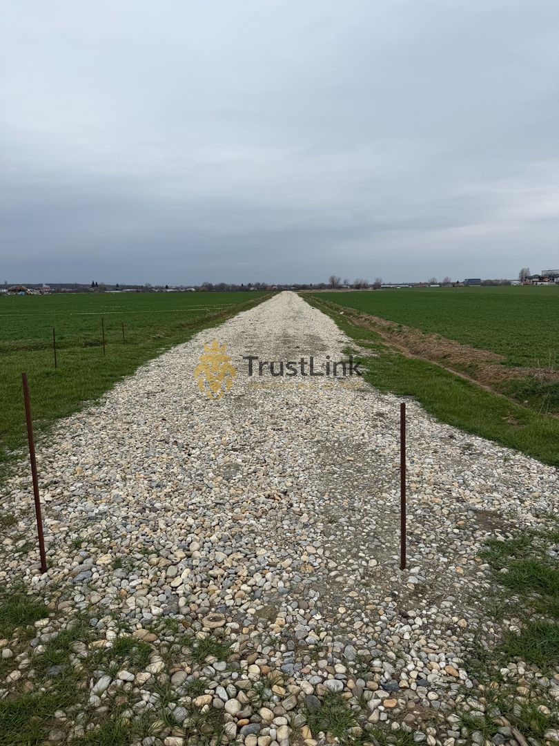 Teren intravilan de vânzare Berceni Vidra | 500–650 mp | curent la lot - Poză 2