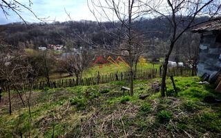 Casă bătrânească stil românesc + 875 mp teren | Telega - Poză 5