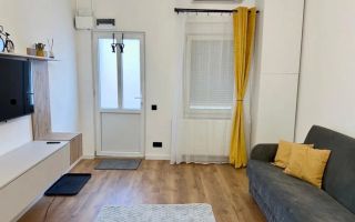 Apartament 1 camera ultracentral– renovat, într-o curte privată. - Poză 2