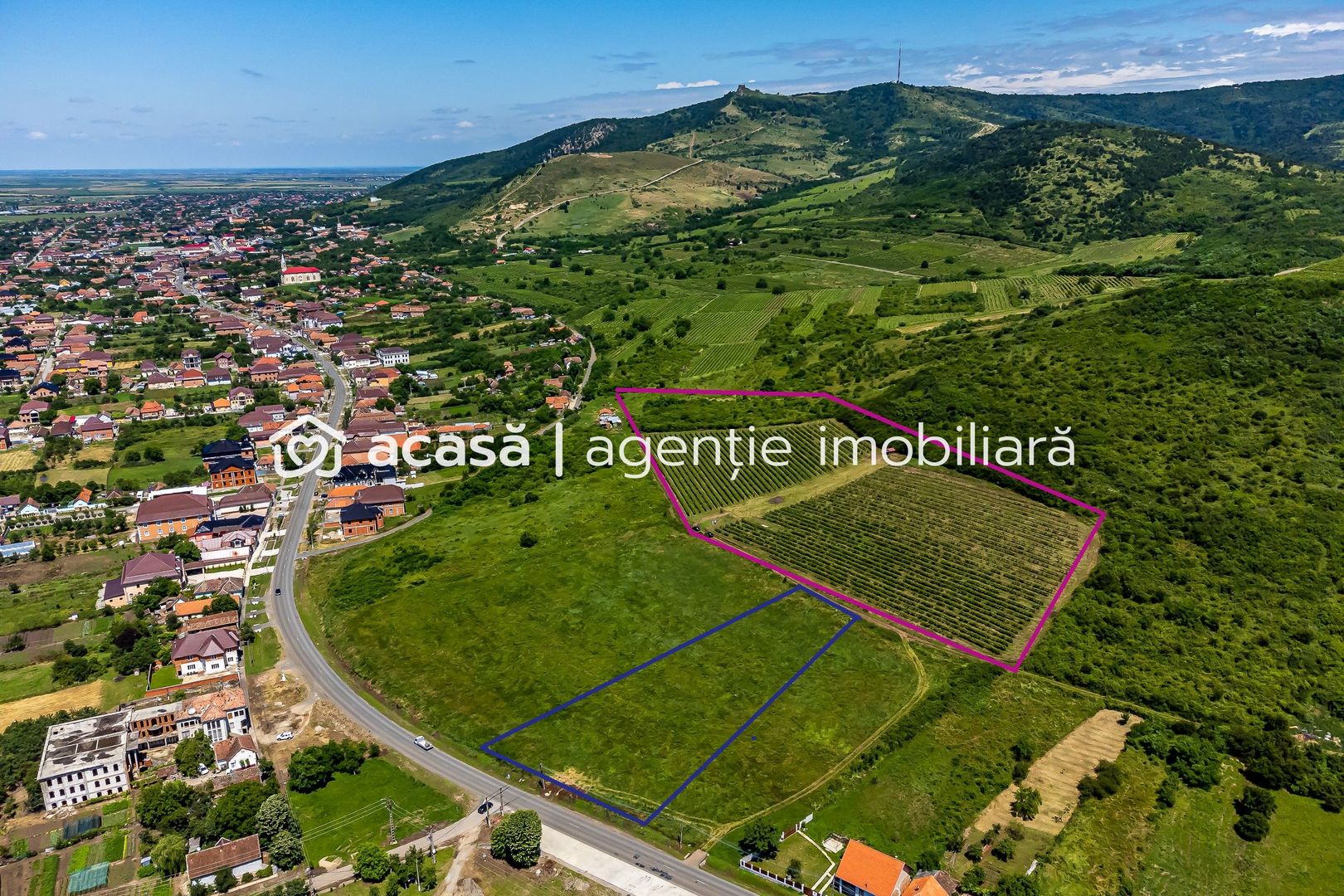 PRET REDUS Oportunitate de afacere, Teren cu vita de vie - Poză 1