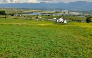 Teren | 1.500 MPU | Bradu - Poză 1