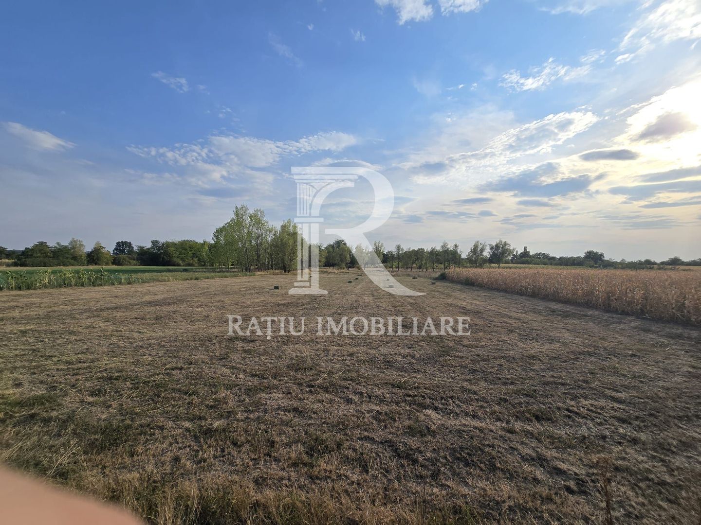 Teren intravilan 6.514mp | 39m front stradal | Ciocaia | Săcuieni - Poză 3