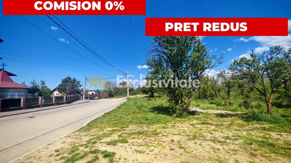 Teren central 2000 mp intravilan Mioveni - Poză 1
